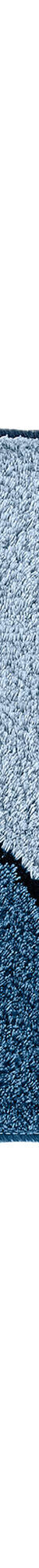 Tapis de bain motif végétal (bleu) Tapis de bain motif végétal (bleu)